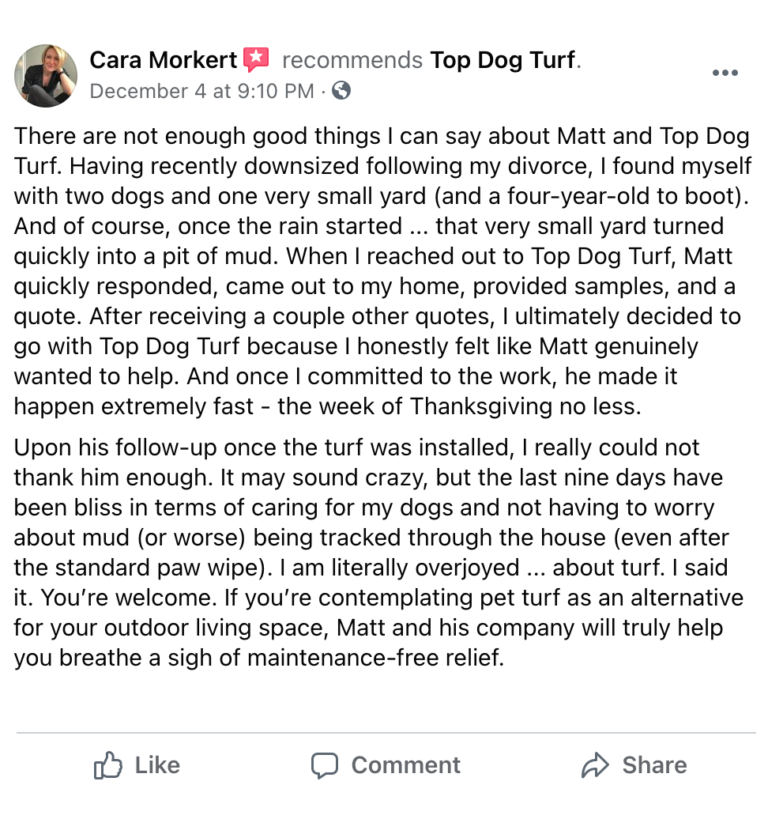 Pierce County Turf Solutions Top Dog Turf